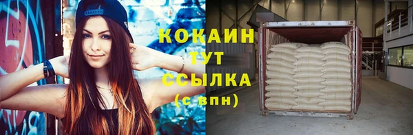 прущие грибы Гусиноозёрск