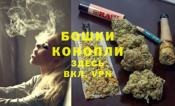 бутират Дмитриев