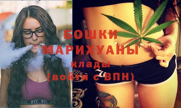 альфа пвп Гусев
