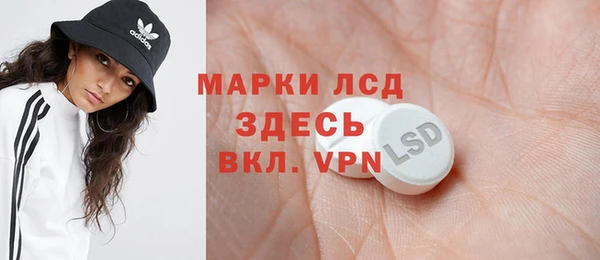 прущие грибы Гусиноозёрск