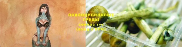 прущая мука Дмитров