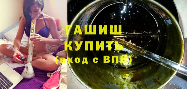 прущие грибы Гусиноозёрск