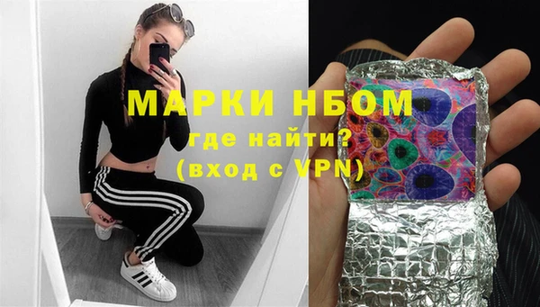 прущие грибы Гусиноозёрск