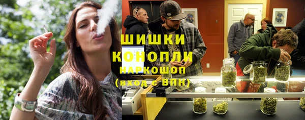 прущие грибы Гусиноозёрск