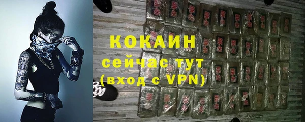 прущие грибы Гусиноозёрск