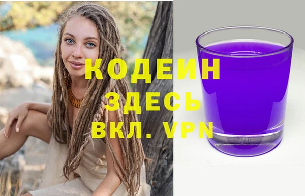 прущие грибы Гусиноозёрск