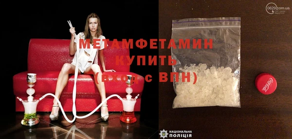 прущие грибы Гусиноозёрск