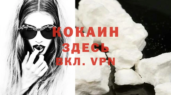 прущие грибы Гусиноозёрск