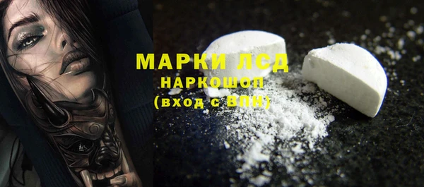 прущие грибы Гусиноозёрск