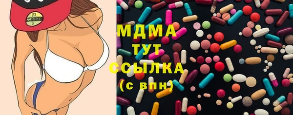 прущие грибы Гусиноозёрск