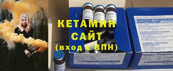 прущие грибы Гусиноозёрск