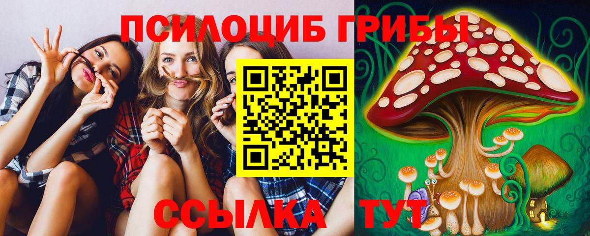 Псилоцибиновые грибы Magic Shrooms  Вход с VPN  как найти закладки  Каменск-Шахтинский 