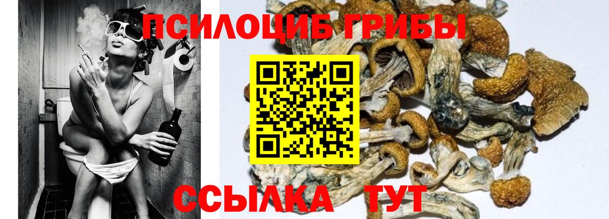 Псилоцибиновые грибы MAGIC MUSHROOMS Каменск-Шахтинский